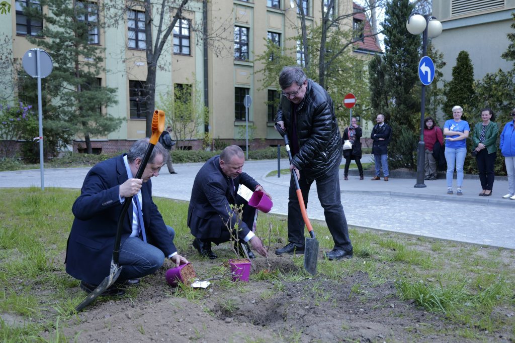 Dzień Hortensji